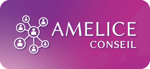 Amelice Conseil